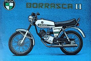 Puch Borrasca - Grupo 11